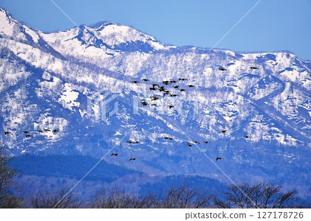A view of Miyajima-numa, a stopover spot for wild geese 127178726