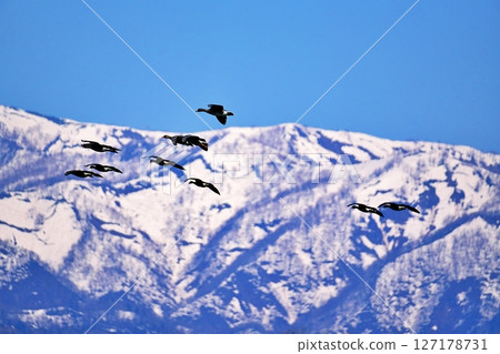 A view of Miyajima-numa, a stopover spot for wild geese 127178731