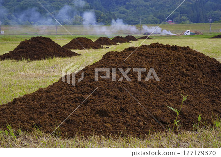 使用牛糞堆肥改善土壤的農田 使用牛糞堆肥改善土壤的農田 127179370