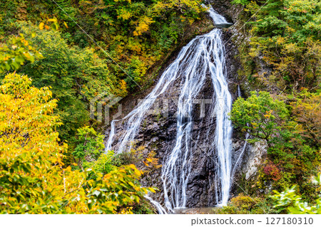 Yamagata - Yellow leaves at Nanatsu Falls 127180310