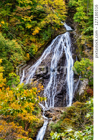 Yamagata - Yellow leaves at Nanatsu Falls 127180316