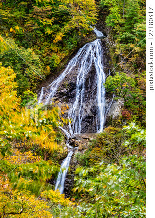 Yamagata - Yellow leaves at Nanatsu Falls 127180317