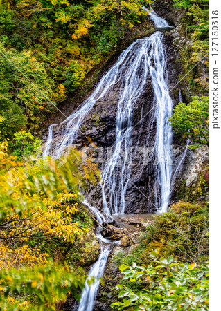 Yamagata - Yellow leaves at Nanatsu Falls 127180318