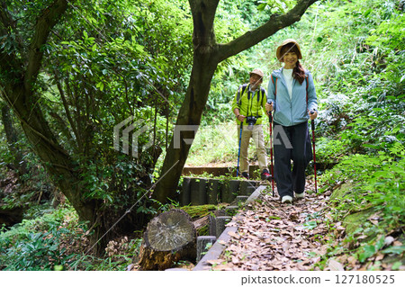 Hiking, trekking, senior, walking, mountain climbing 127180525