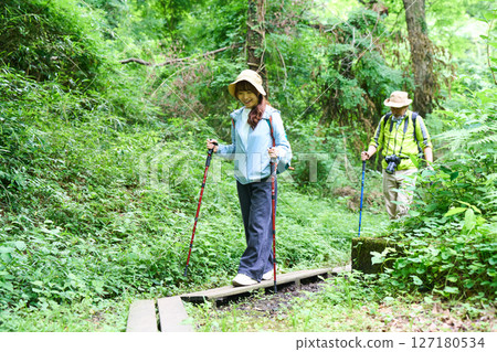 Hiking, trekking, senior, walking, mountain climbing 127180534