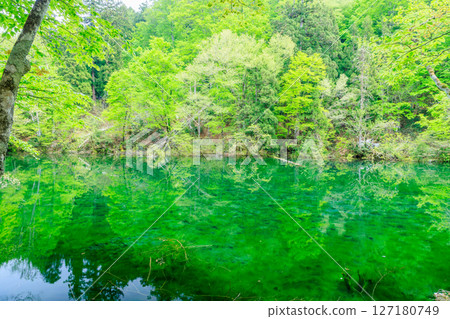 新潟縣中魚沼郡初夏的龍倉 127180749