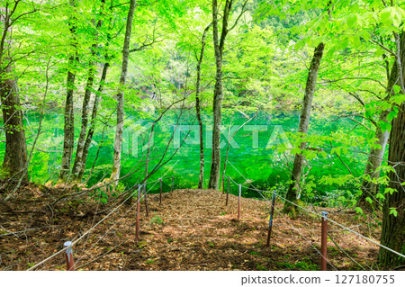 Ryugakura in early summer, Nakauonuma District, Niigata Prefecture 127180755