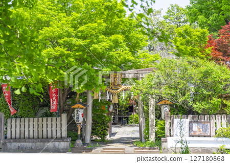 Mizuka Tenmangu Shrine surrounded by fresh greenery 127180868