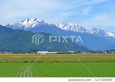 在初夏立山山脈的北阿爾卑斯山 127180998