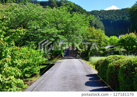 琉璃光山常樂寺 鹿沼市 琉璃光山常樂寺 鹿沼市 127181170