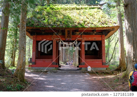 戶隱神社內殿參道的隨神門和長滿青苔的茅草屋頂 戶隱神社內殿參道的隨神門和長滿青苔的茅草屋頂 127181189