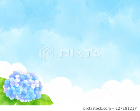 Hydrangea, blue sky, end of the rainy season 127181217