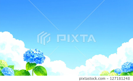 Hydrangea, blue sky, end of the rainy season 127181248