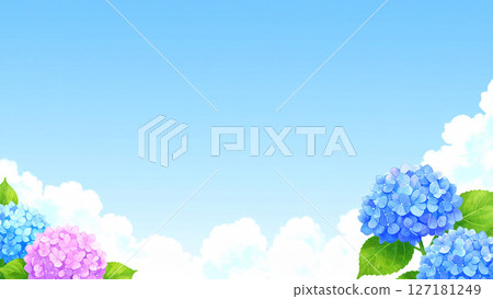 Hydrangea, blue sky, end of the rainy season 127181249