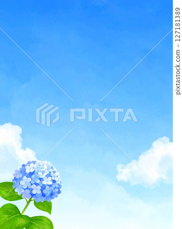 繡球花、藍天、雨季結束 127181389