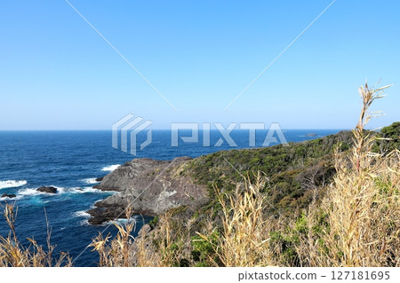 伊豆半島入崎 127181695