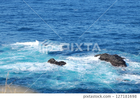 伊豆半島入崎 127181698