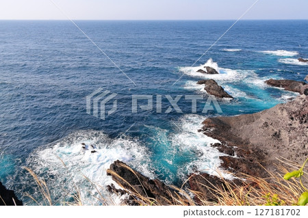 Izu Peninsula Irozaki 127181702