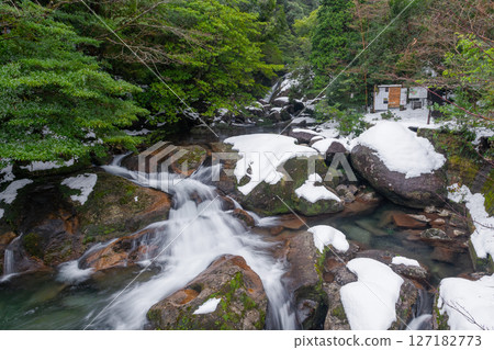 寒神居住的屋久島白谷雲水峽(冬季) 寒神居住的屋久島白谷雲水峽(冬季) 127182773