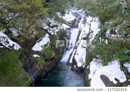 屋久島白谷雲水峽 - 極寒流水（冬季） 127182816