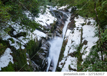Yakushima Shiratani Unsuikyo Gorge - Extremely cold drifting waters (winter) 127182817