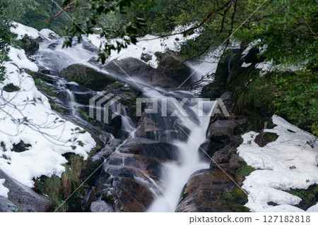 屋久島白谷雲水峽 - 極寒流水(冬季) 屋久島白谷雲水峽 - 極寒流水(冬季) 127182818