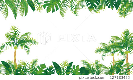 水彩熱帶植物裝飾框3套（16：9） 127183453