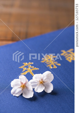 文憑和櫻花花瓣 127183733