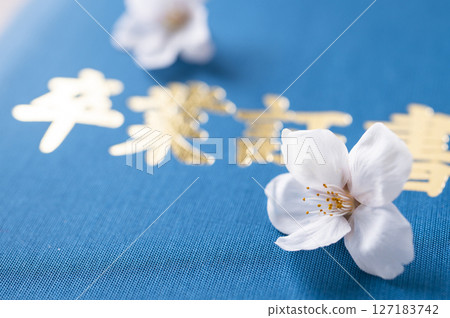 文憑和櫻花花瓣 127183742