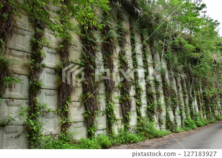 基礎建設與自然藝術 127183927