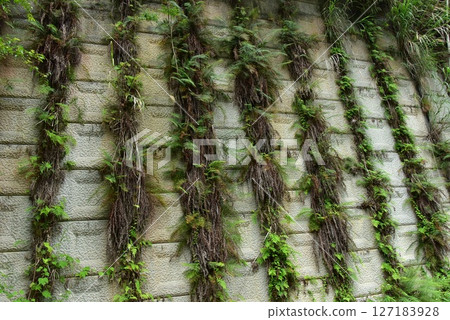 基礎建設與自然藝術 127183928