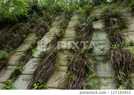 Infrastructure and Nature Art Infrastructure and Nature Art 127183932