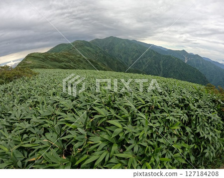 飯豐山脈通往治上山的山脊 127184208