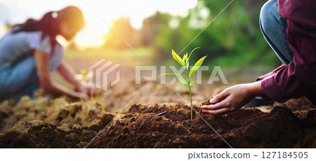 Two people are planting a tree in the dirt 127184505