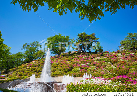Nishiyama Park with beautiful azaleas Nishiyama Park with beautiful azaleas 127184531