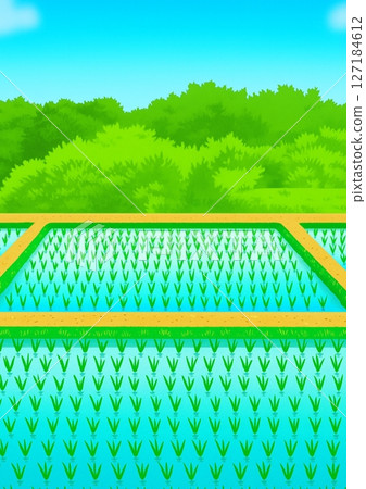 稻田風景 127184612