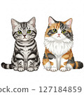 銀貓和三色貓 127184859