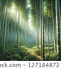 Light shining on the bamboo grove 127184872