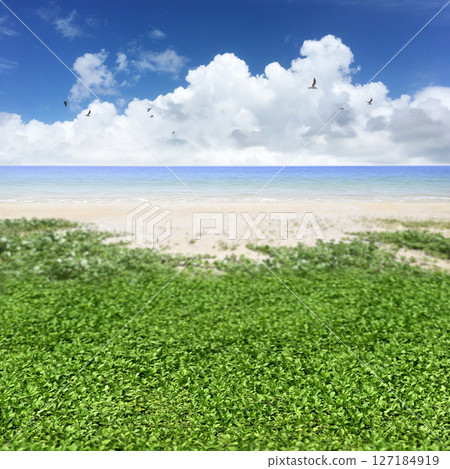 延伸至海與藍天的沙灘,令人心動的夏日奇幻風景 延伸至海與藍天的沙灘,令人心動的夏日奇幻風景 127184919