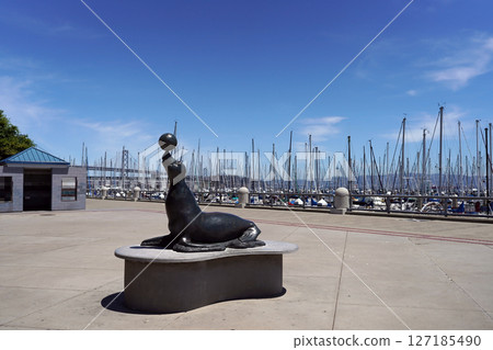 Sea lion statue in San Francisco harbor: a symbol of the yacht harbor Sea lion statue in San Francisco harbor: a symbol of the yacht harbor 127185490