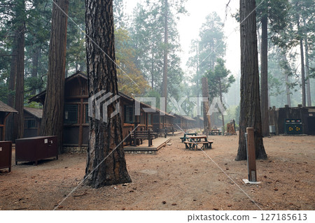 優勝美地國家公園森林小屋：置身於大自然中 127185613