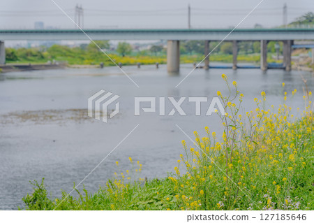 Spring Tamagawa Spring Tamagawa 127185646