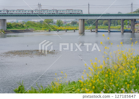 Spring Tamagawa Spring Tamagawa 127185647