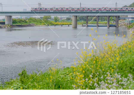 春天多摩川 春天多摩川 127185651