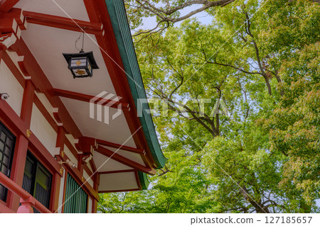 新綠與神社的屋簷 127185657