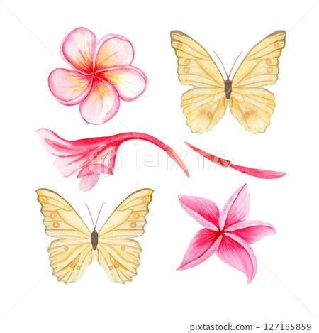 Yellow butterflies, pink tropical plumeria flowers, bud watercolor illustration set. Hand painted for textile design, summer packaging decor, branding, stationery, digital products. Isolated on white 127185859