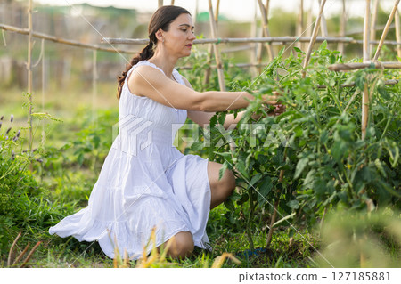 Adult woman caring for plant in garden Adult woman caring for plant in garden 127185881