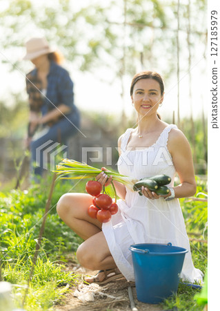 Woman in white dress with ripe vegetables in her hands - tomatoes, zucchini and green onions 127185979