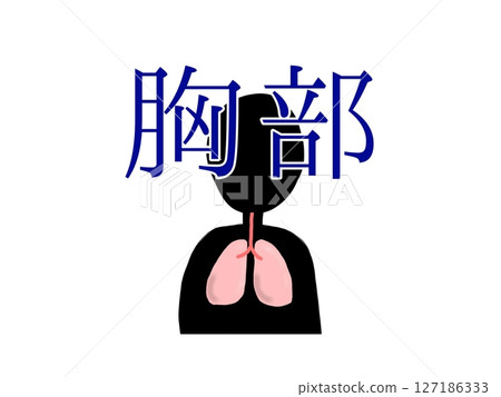 胸部 胸部 127186333