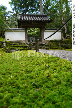 Scenery of the grounds of Jizo-in Temple, Kyoto Scenery of the grounds of Jizo-in Temple, Kyoto 127186700